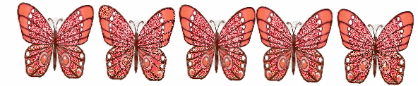 image.gif