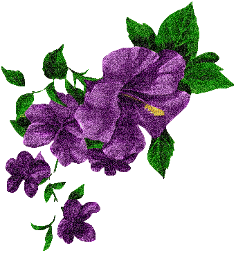 image.gif