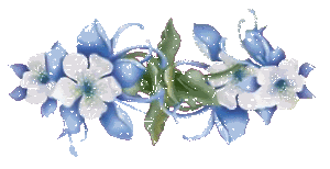 image.gif