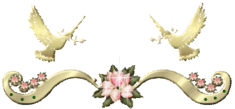 image.gif