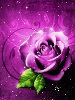 image.gif