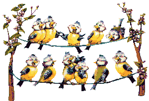 image.gif