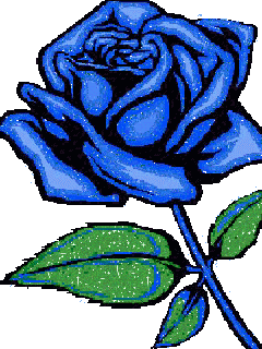 image.gif