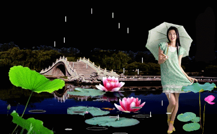 image.gif