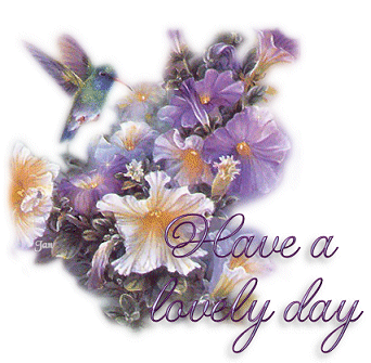 image.gif