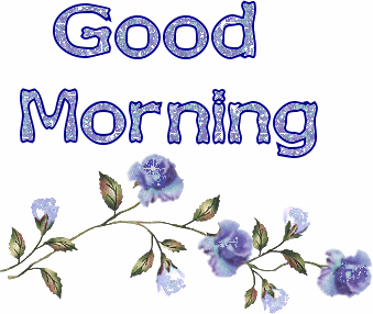 image.gif
