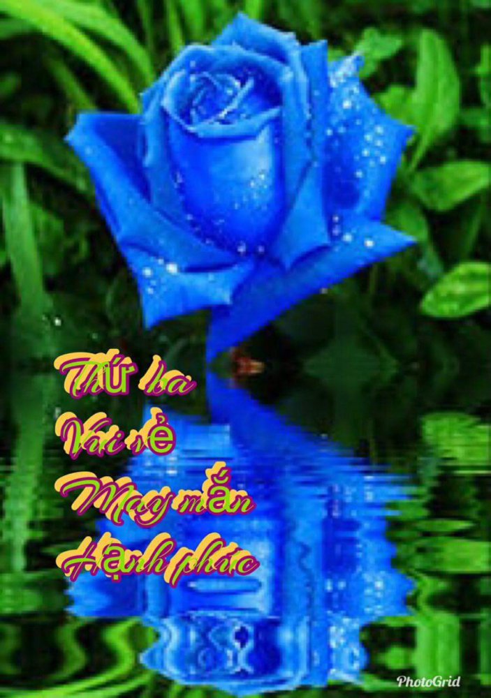 image.jpeg