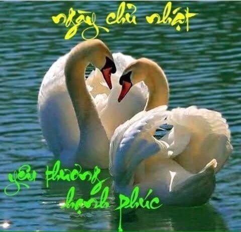 image.jpeg