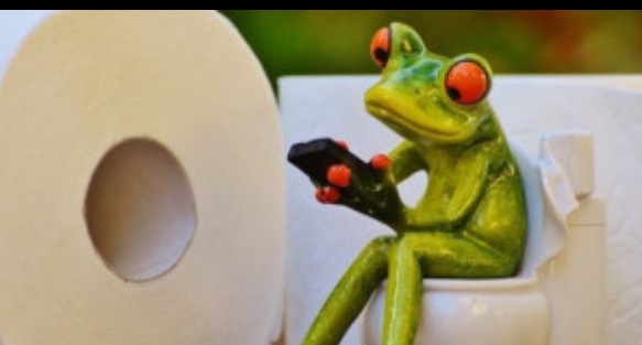 image.jpg
