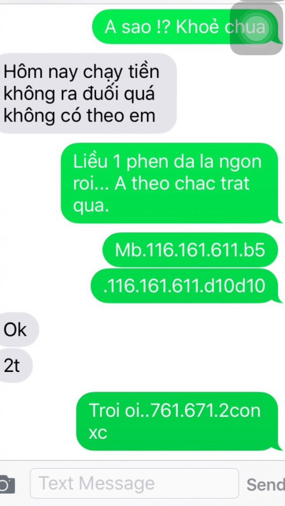 image.jpg