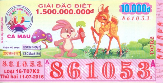 image.jpg