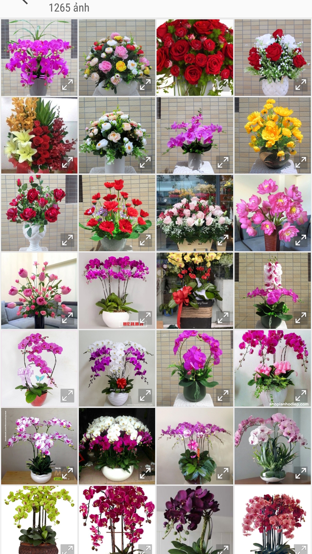 ImageCorp_20190408233448.jpg