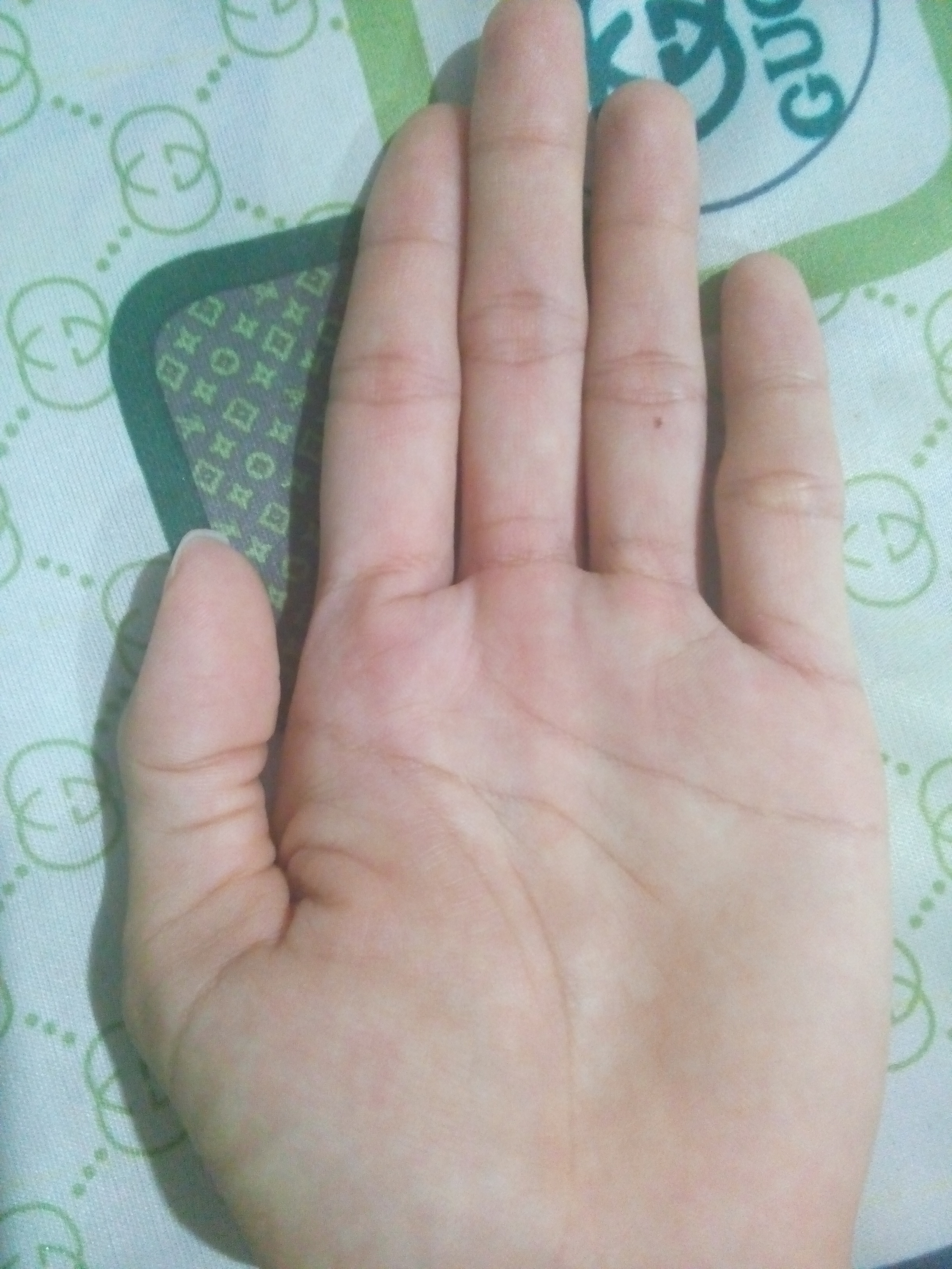 IMG20160616204117.jpg