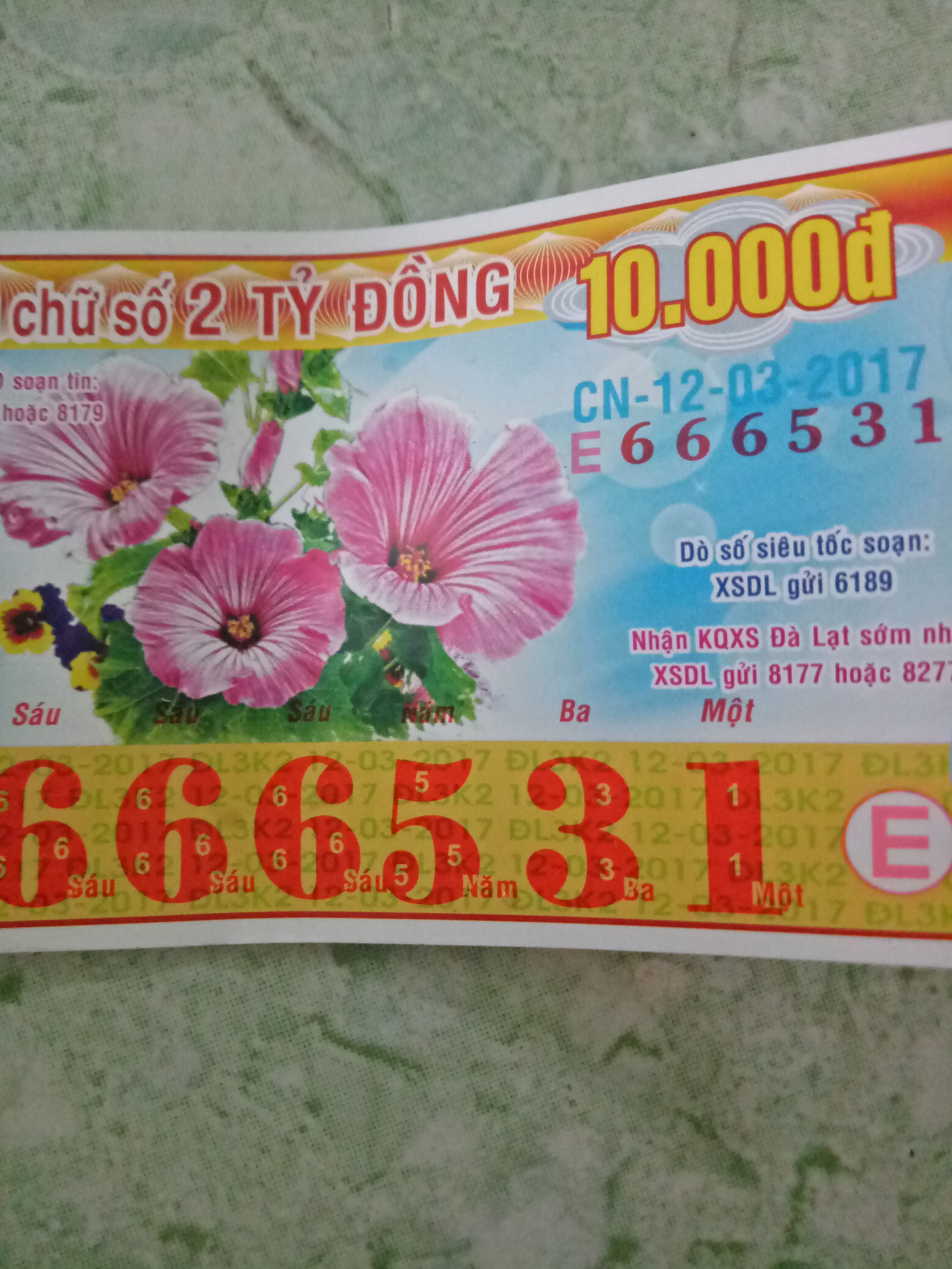 IMG20170316121347.jpg