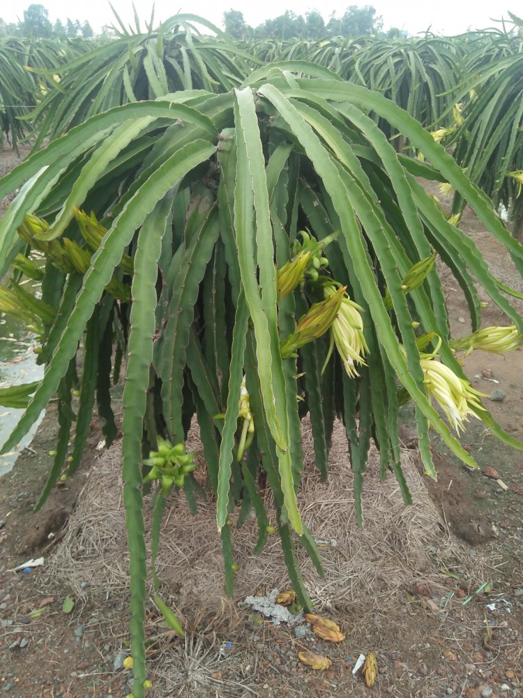 IMG20180612114919.jpg