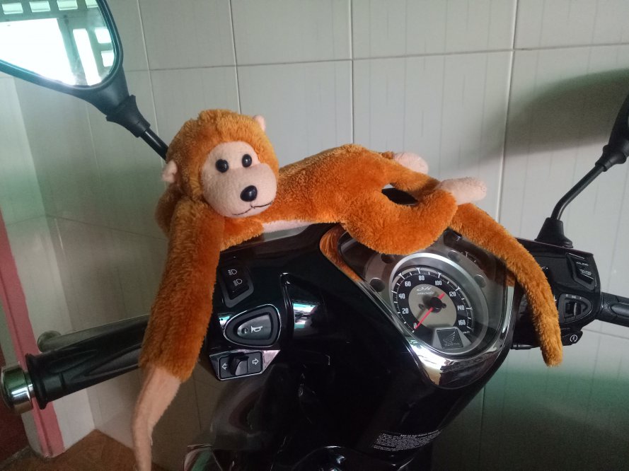 IMG20180614141141.jpg