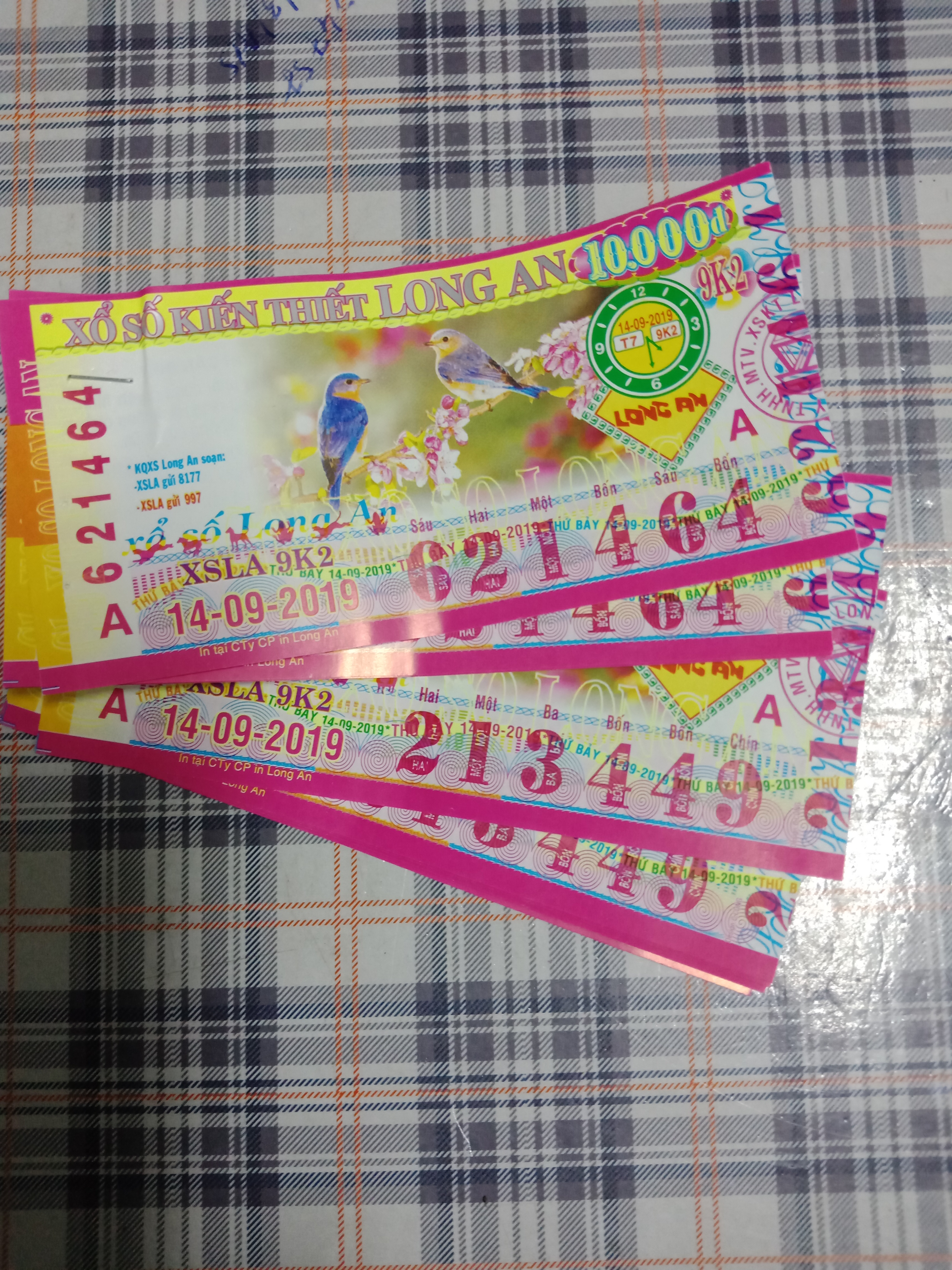 IMG20190914162915.jpg