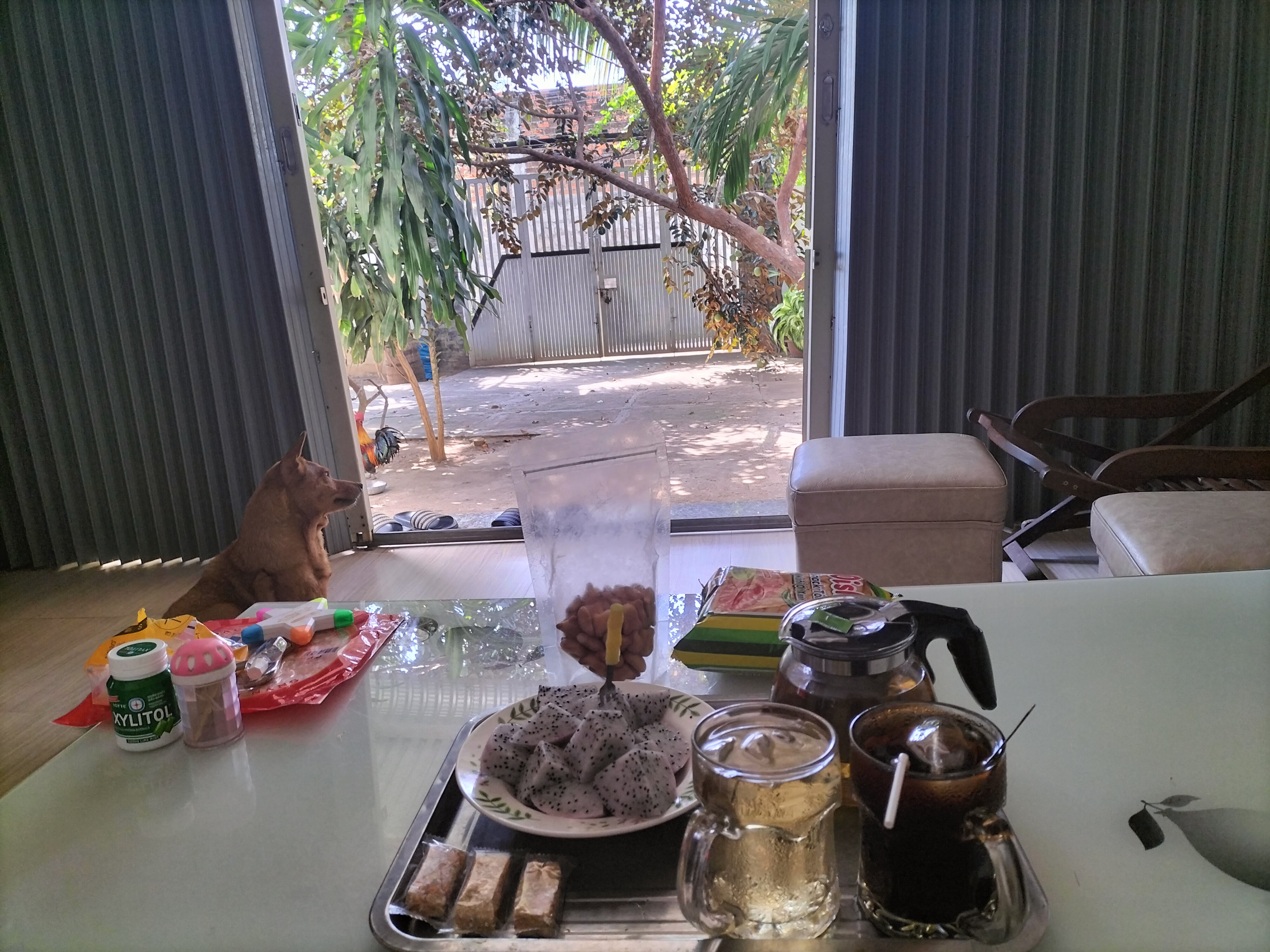 IMG20230207111227.jpg