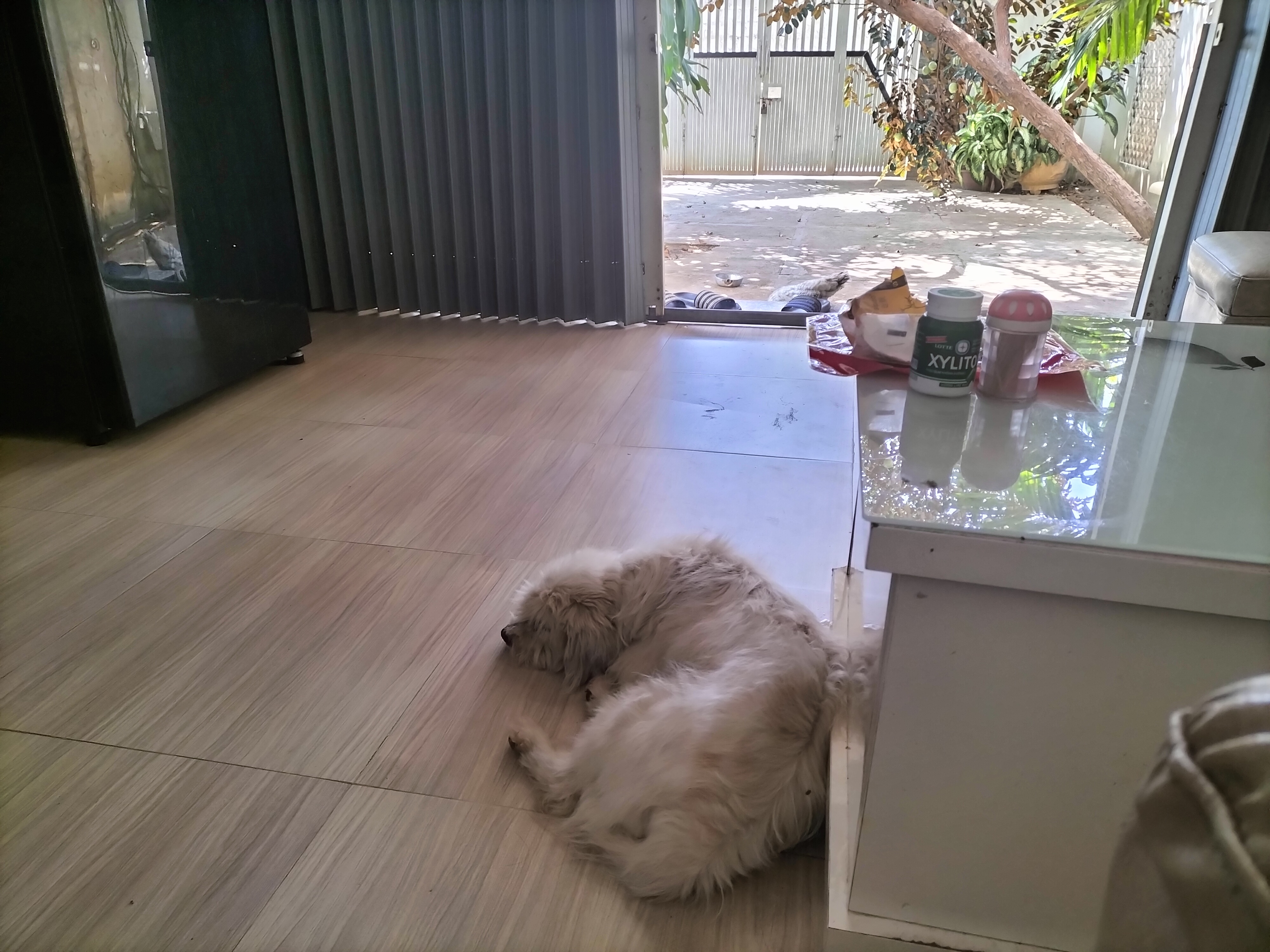 IMG20230207112146.jpg