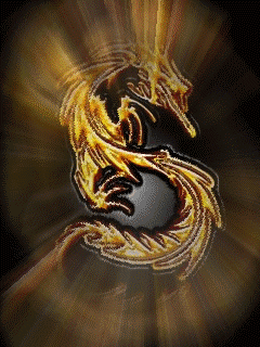 IMG_0748.GIF