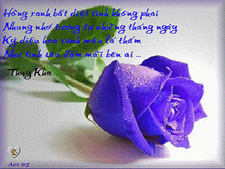 IMG_0793.GIF
