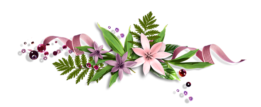 IMG_0981.PNG