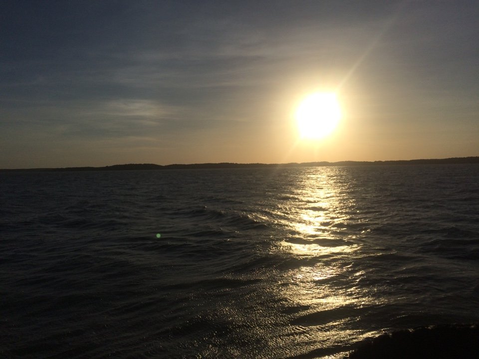 IMG_20160607_091354.jpg