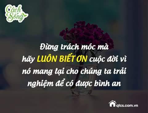 IMG_20160620_212123.jpg
