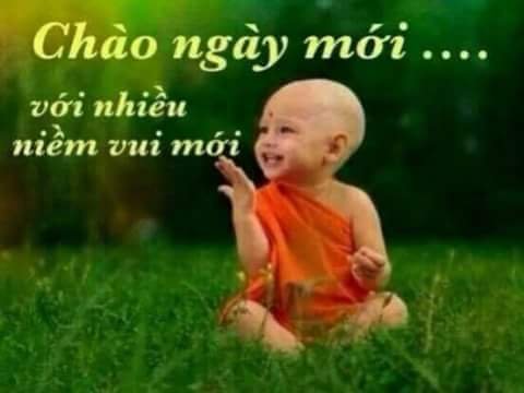 IMG_20160629_141612.jpg