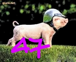 IMG_20171120_130848.jpg