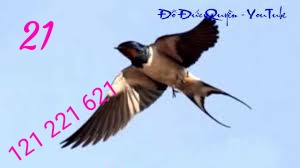 IMG_20171122_172325.jpg