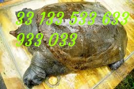 IMG_20171128_094721.jpg
