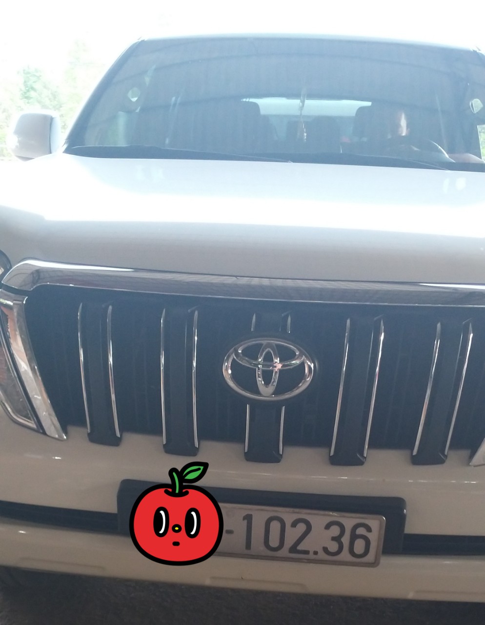 IMG_20190428_115802.jpg