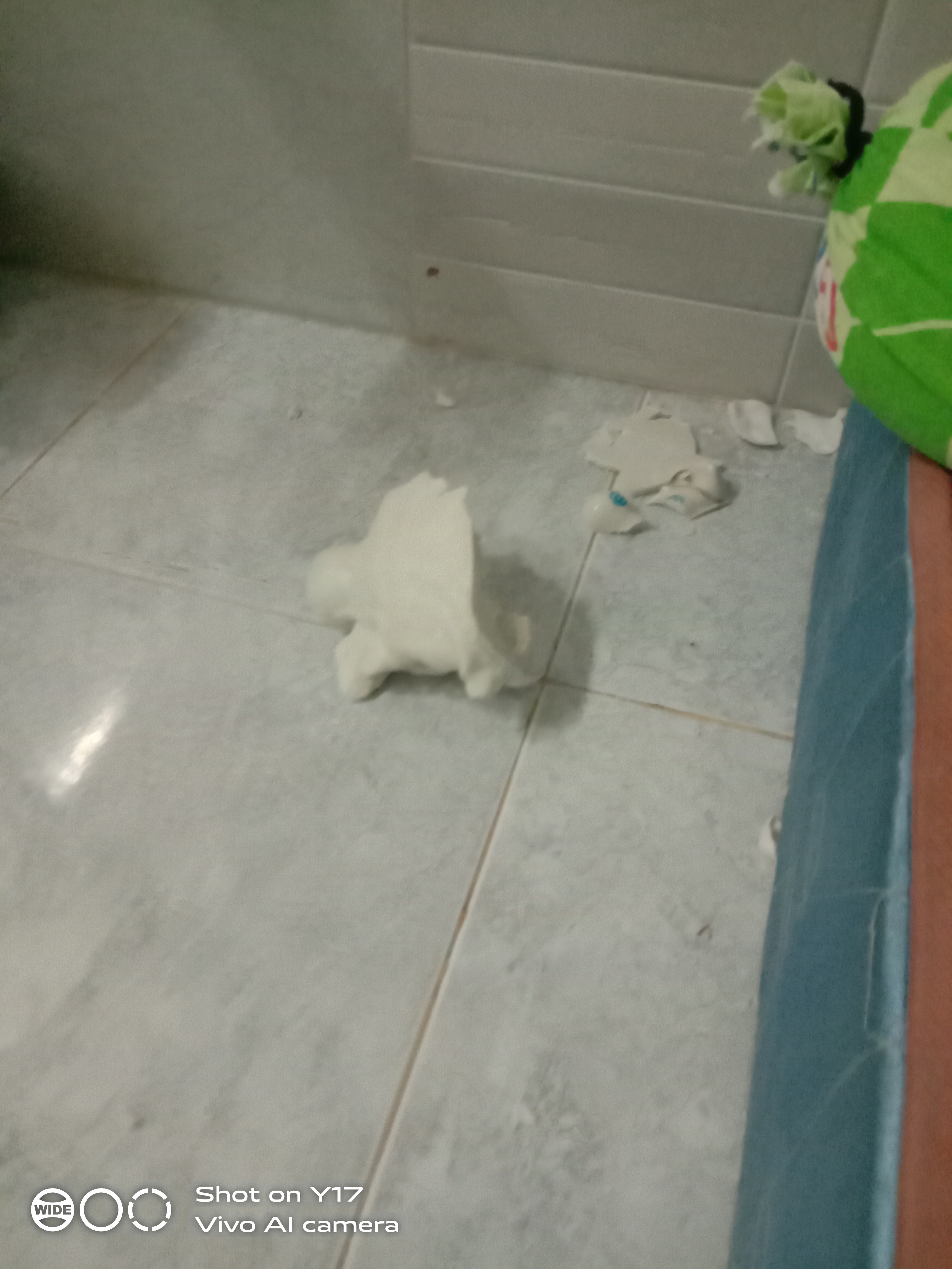 IMG_20200823_164437.jpg