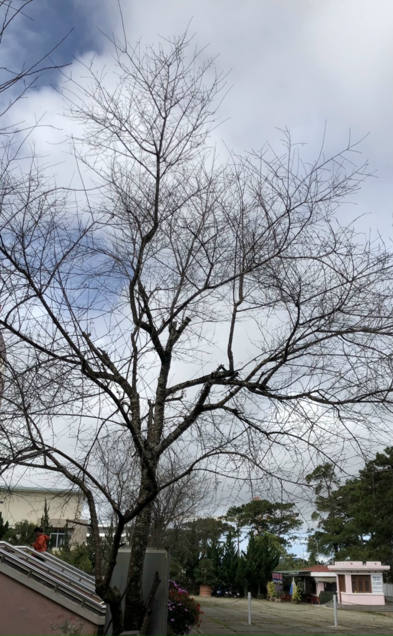 IMG_20201221_200022.jpg