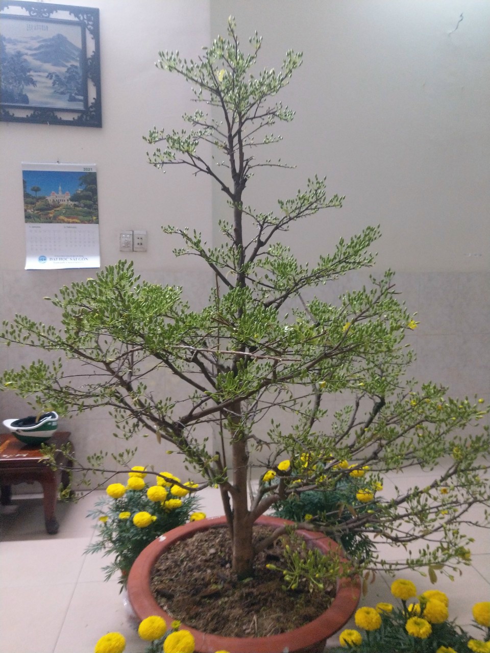IMG_20230106_041409.jpg