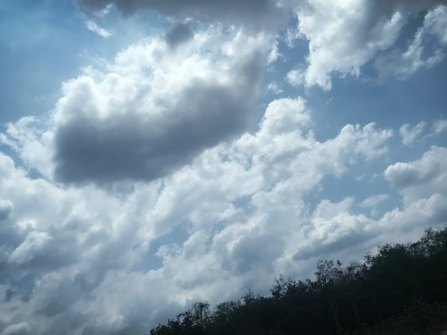 IMG_2168.PNG