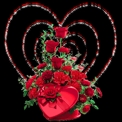 IMG_4142.GIF