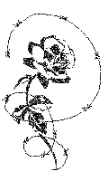 IMG_4418.GIF