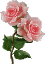 IMG_4421.GIF