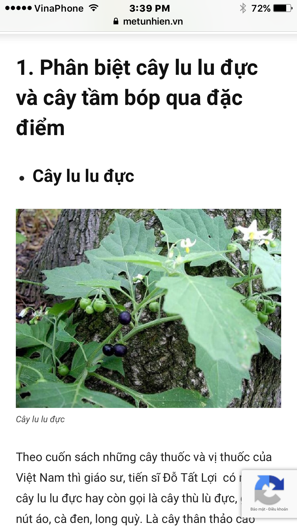 IMG_7083.PNG