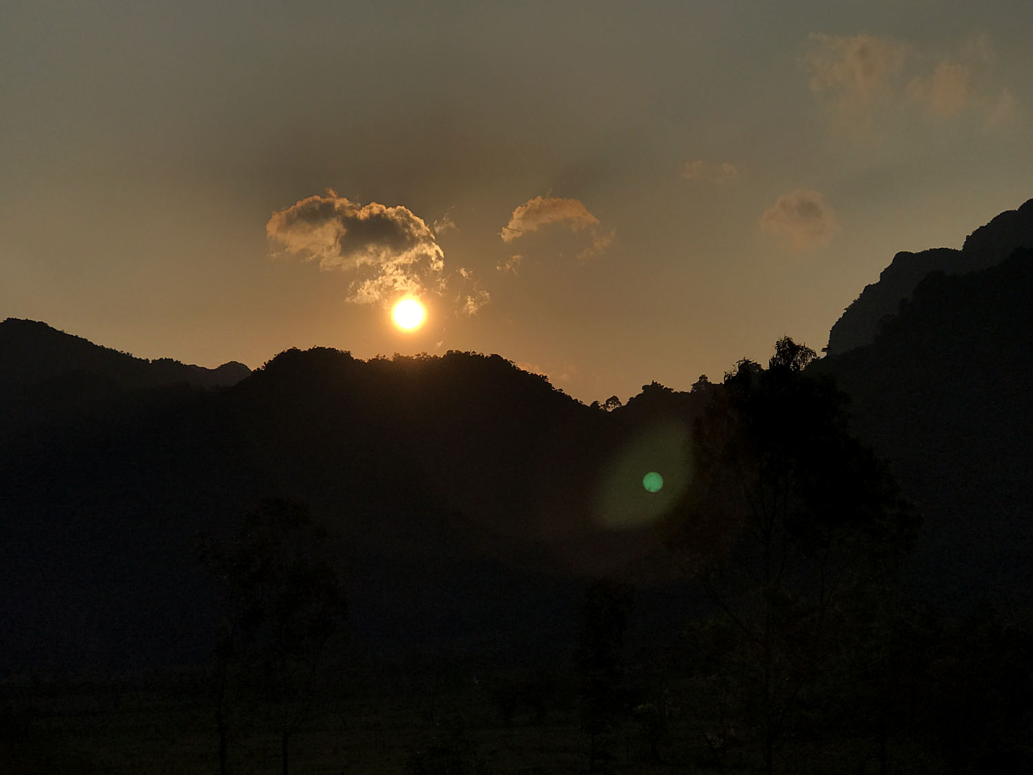 IMG_7187.PNG