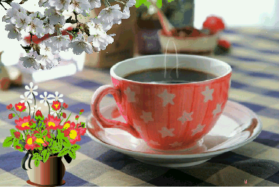 IMG_9156.GIF