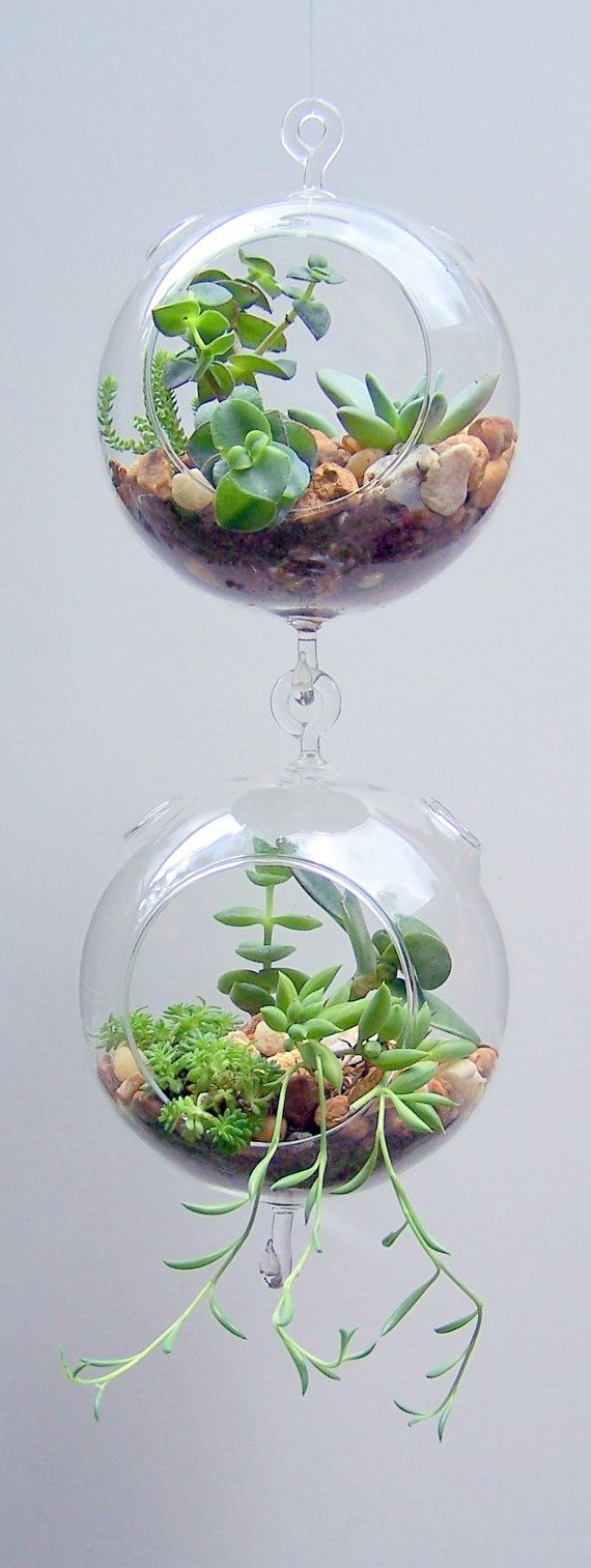 Invite-Nature-In-With-20-Incredible-Indoor-Plants-Ideas-homesthetics-3-1.jpg