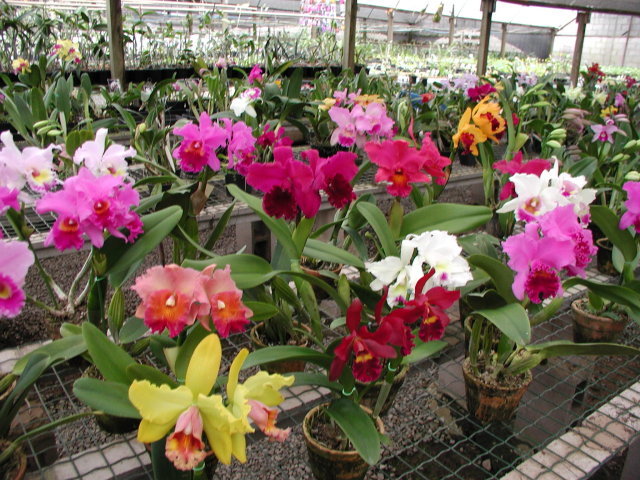 K06fEUmS[1].jpg