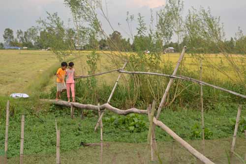 kham_pha_nhung_cay_cau_khi_cuoi_cung_o_mien_tay_1[1].jpg