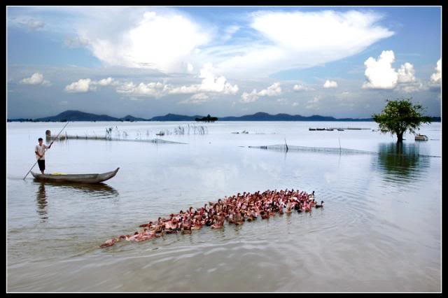 mua-nuoc-noi_4961[1].jpg