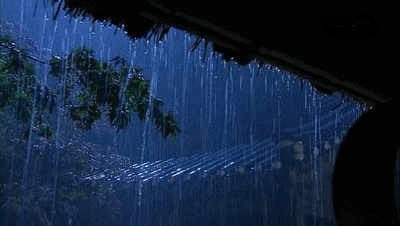 MuaDem01.gif