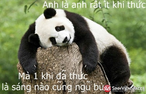 ngủ bù.jpg