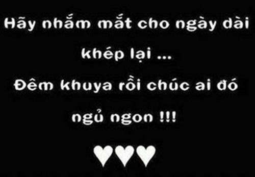 nhung-loi-chuc-ngu-ngon-hay-nhat-danh-tang-gau-khi-dem-ve5.jpg